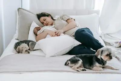 Baby & Pet Care - UrbanZora.com
